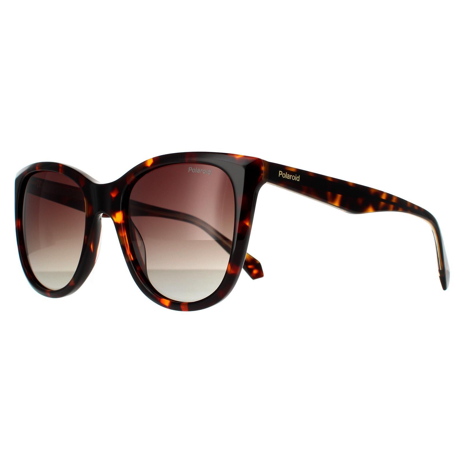 Polaroid Square Womens Havana Brown Brown Gradient Polarized Sunglasses 2/4