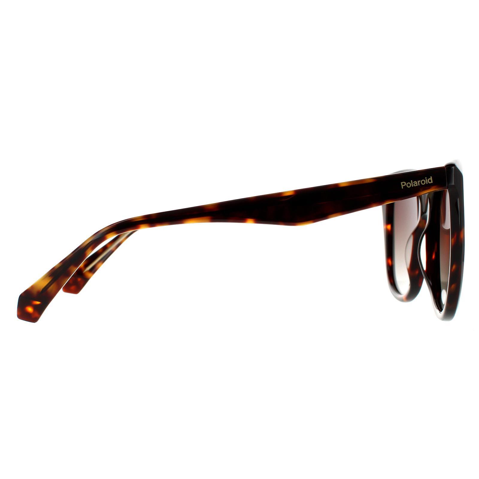 Polaroid Square Womens Havana Brown Brown Gradient Polarized Sunglasses 4/4