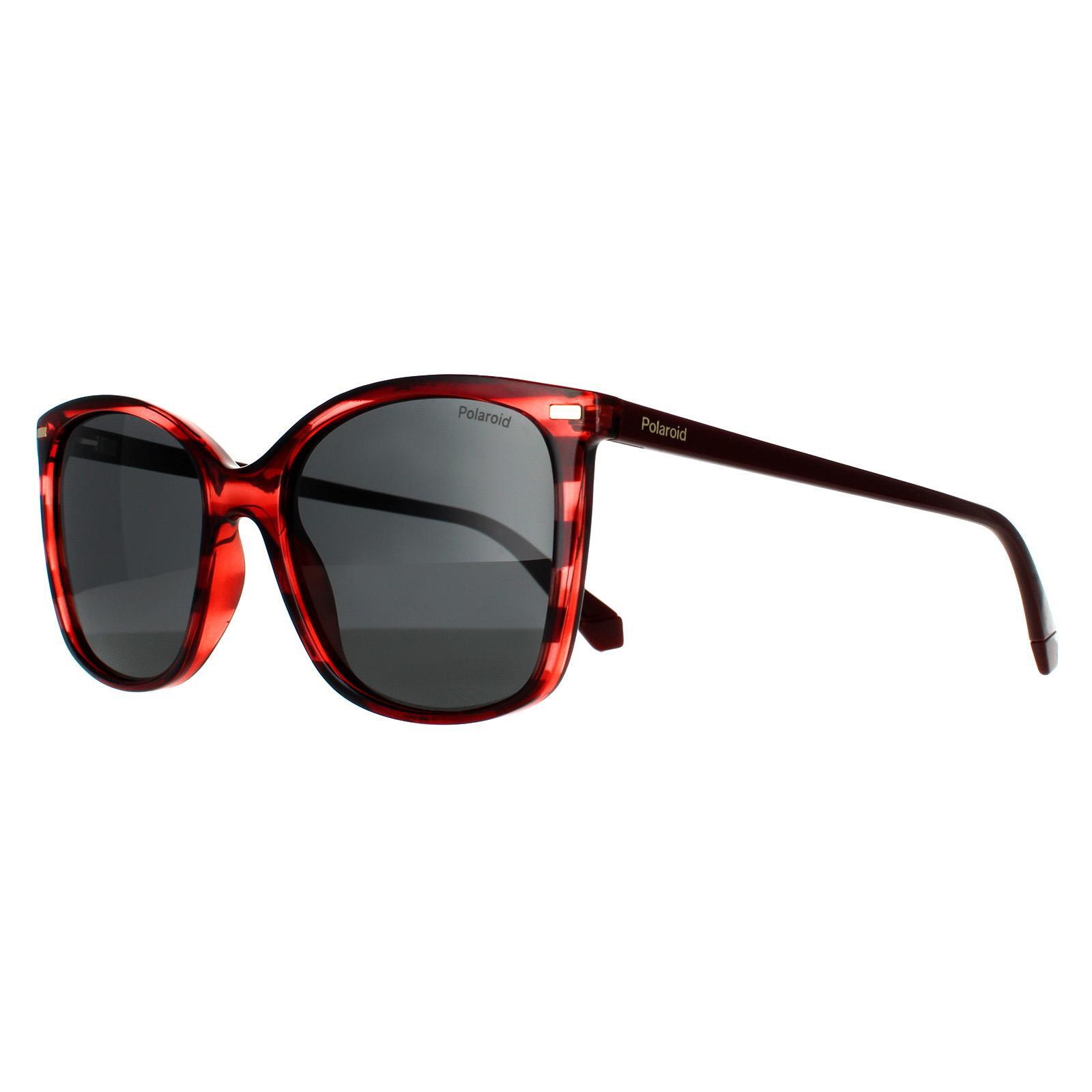 Polaroid Square Womens Red Havana Grey Polarized Sunglasses 2/4