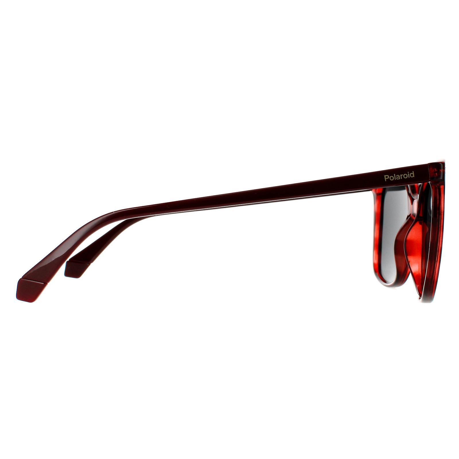 Polaroid Square Womens Red Havana Grey Polarized Sunglasses 4/4