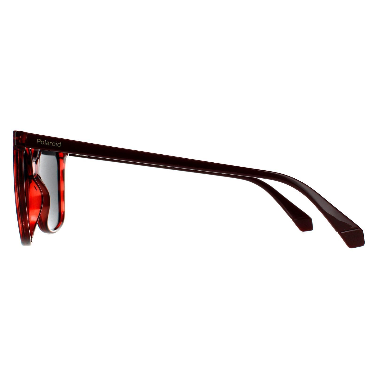 Polaroid Square Womens Red Havana Grey Polarized Sunglasses 3/4