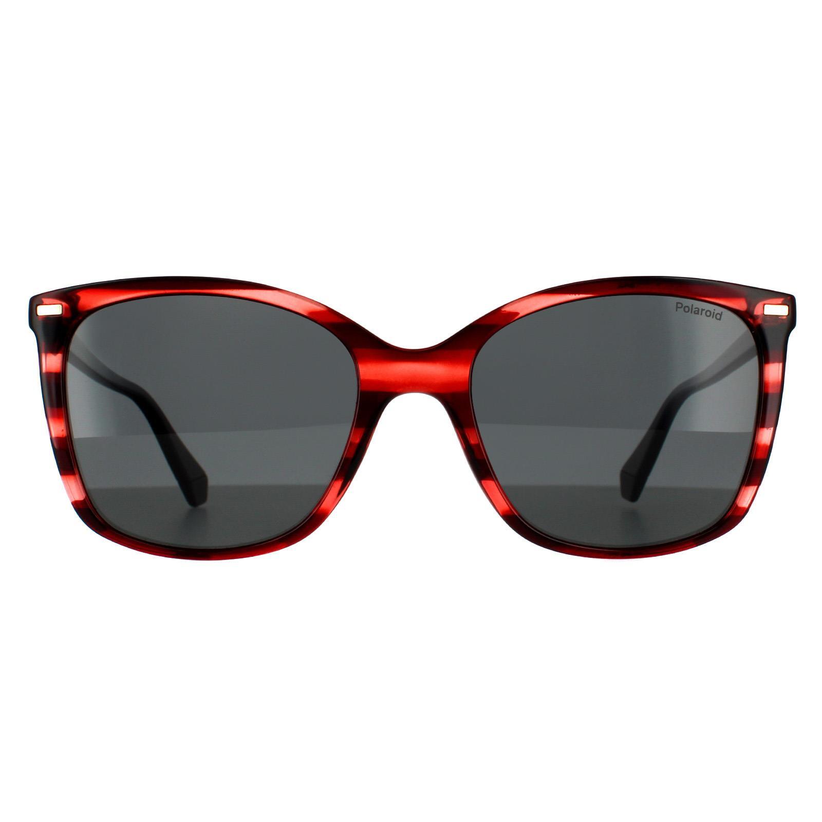 Polaroid Square Womens Red Havana Grey Polarized Sunglasses 1/4