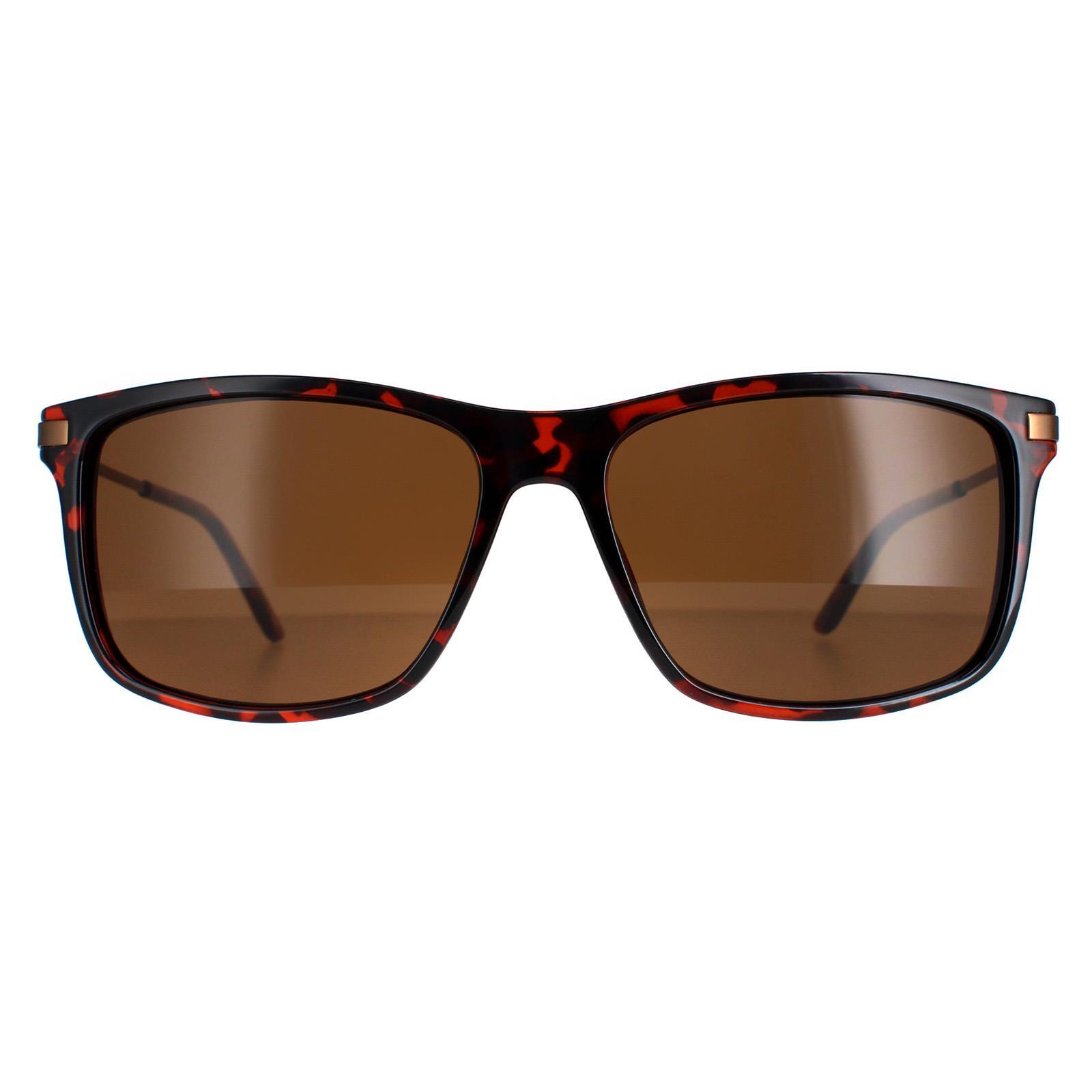 TIMBERLAND Óculos escuros masculinos Timberland TB7177-5852E Degradadas