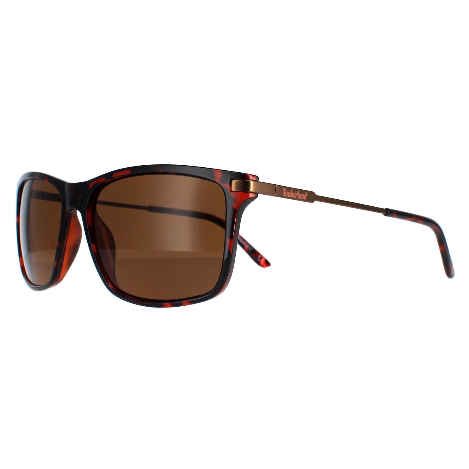 Gafas de Sol Hombre Timberland TB7177-5852E Degradadas 2/4