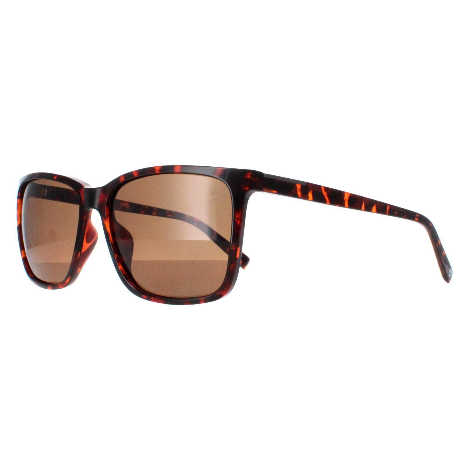 Timberland Square Mens Dark Havana Brown Polarized TB9280-H 2/4