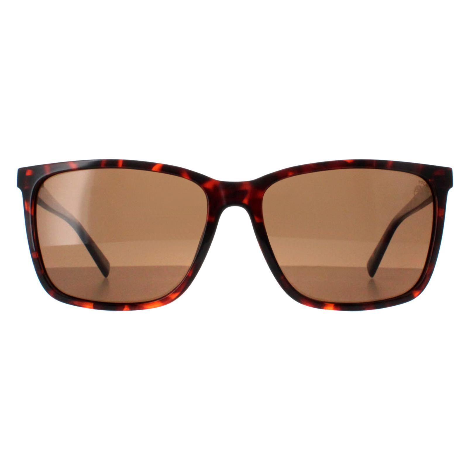 Timberland Square Mens Dark Havana Brown Polarized TB9280-H 1/4