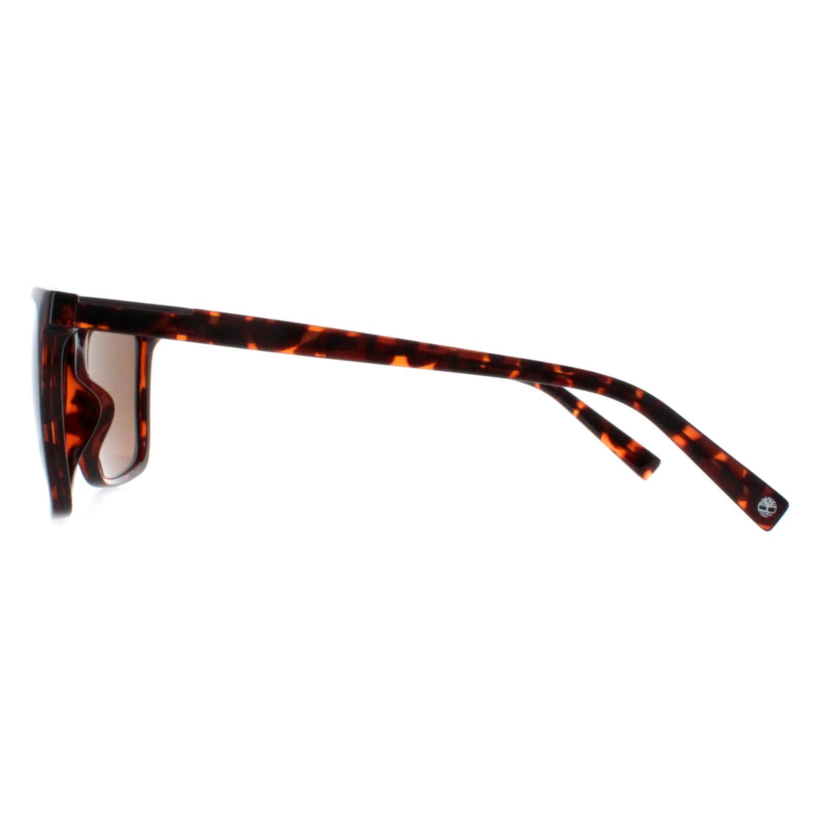 Timberland Square Mens Dark Havana Brown Polarized TB9280-H 3/4