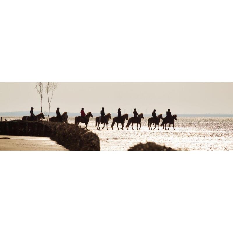 Paardrijvakantie op het eiland Rømø in Denemarken