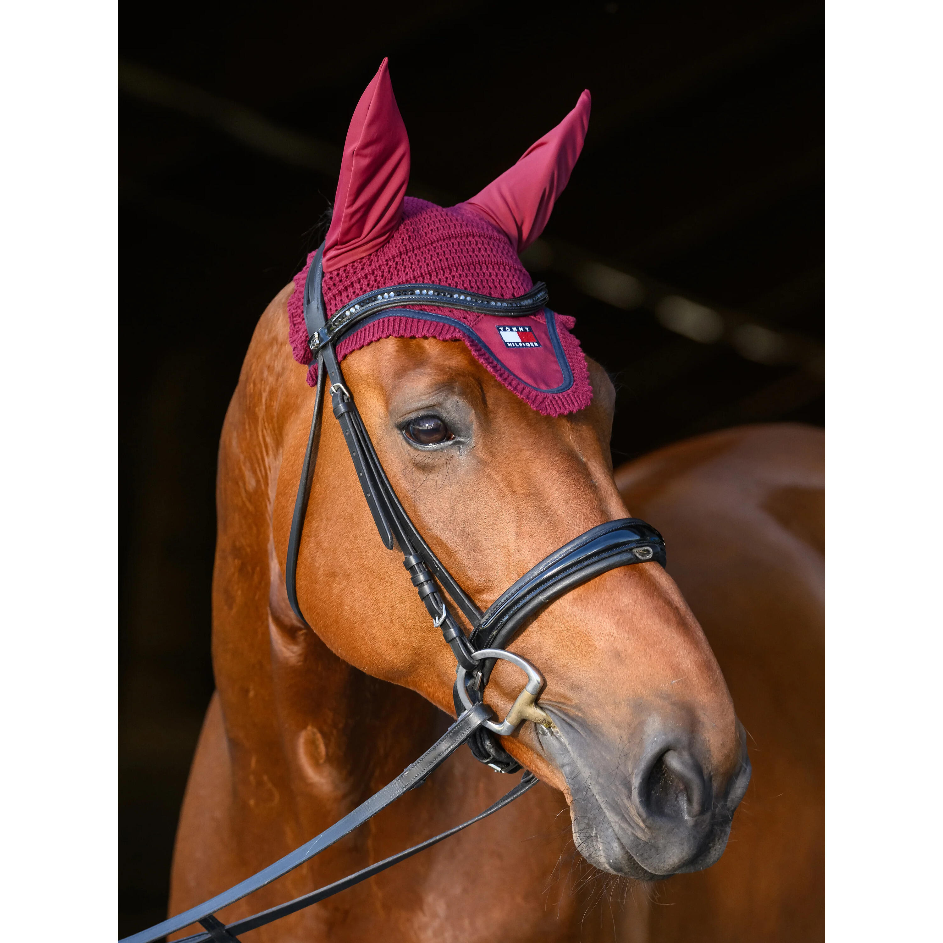 Bonnet pour cheval Tommy Hilfiger Equestrian Oxford 5/5