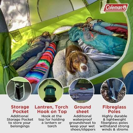 4-Person Sundome Camping Tent, Superior Air Ventilation & Easy Setup, Green