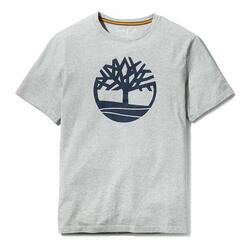 T-shirt à manches courtes homme Timberland Kennebec River Tree Gris