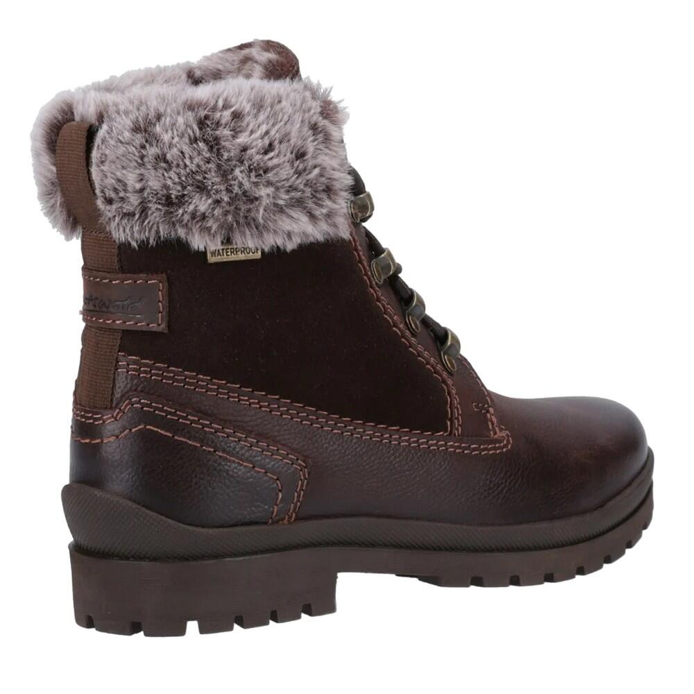 Womens/Ladies Evenlode Ankle Boots (Brown) 2/5