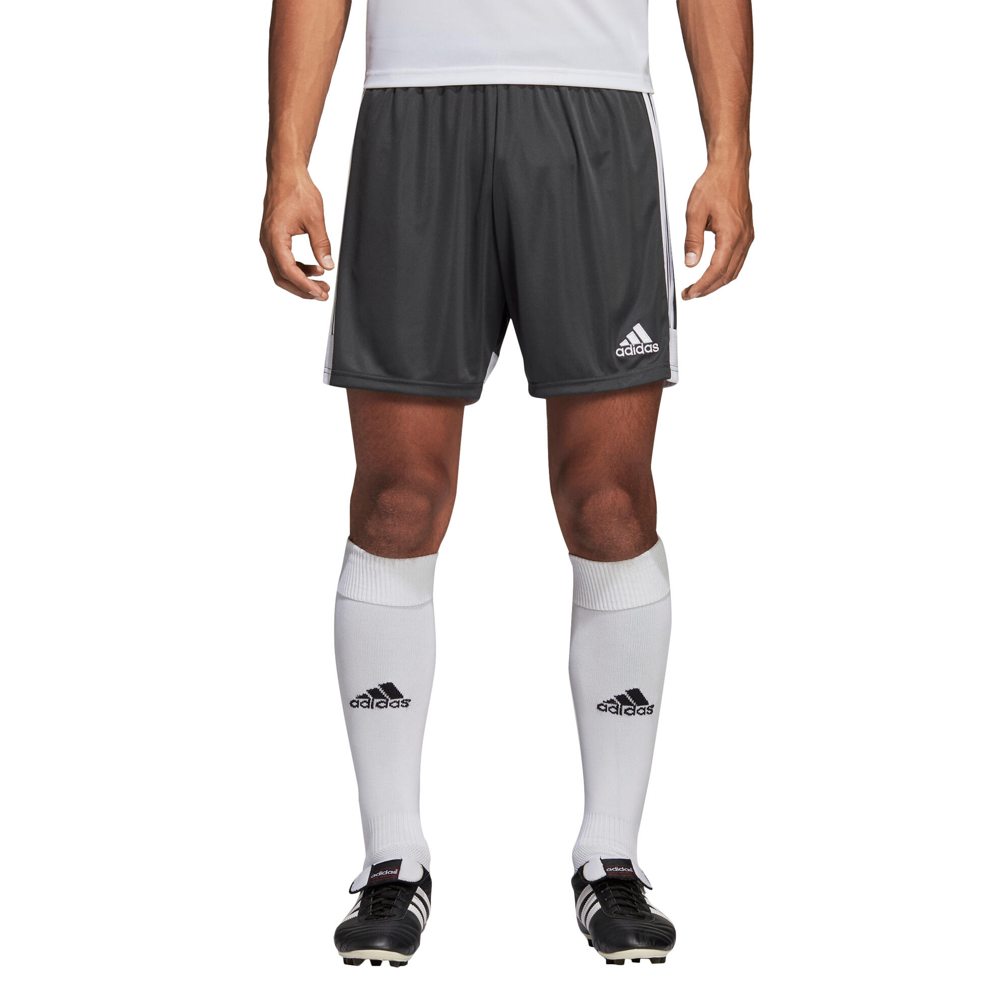 Calções adidas Tastigo 19 2/7