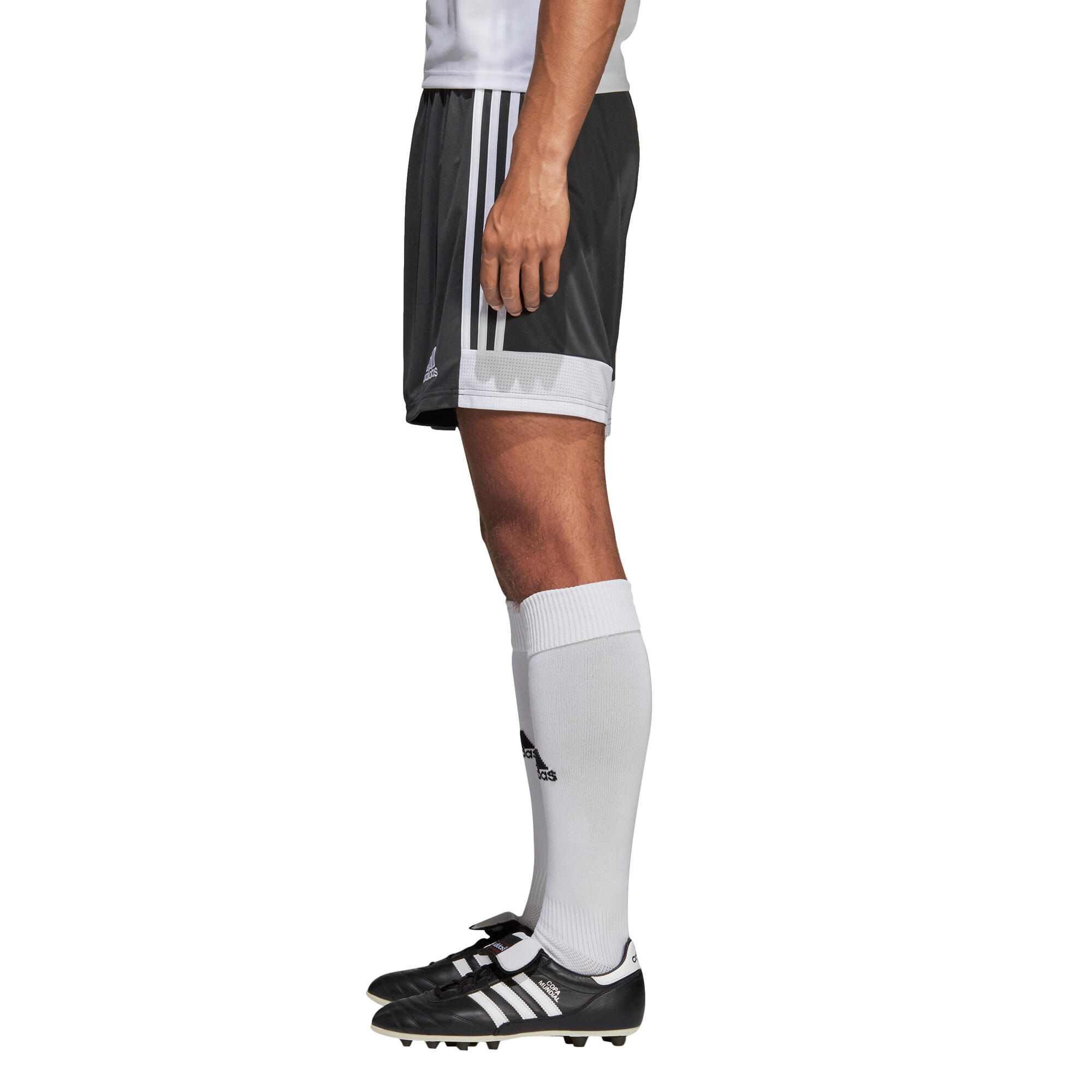 Calções adidas Tastigo 19 3/7