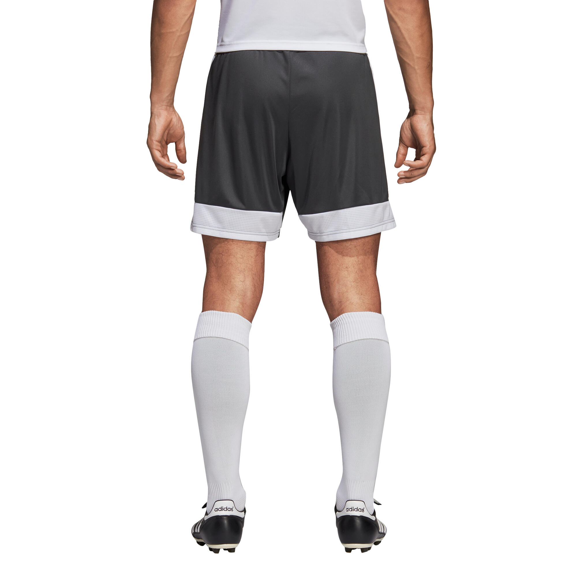 Calções adidas Tastigo 19 4/7