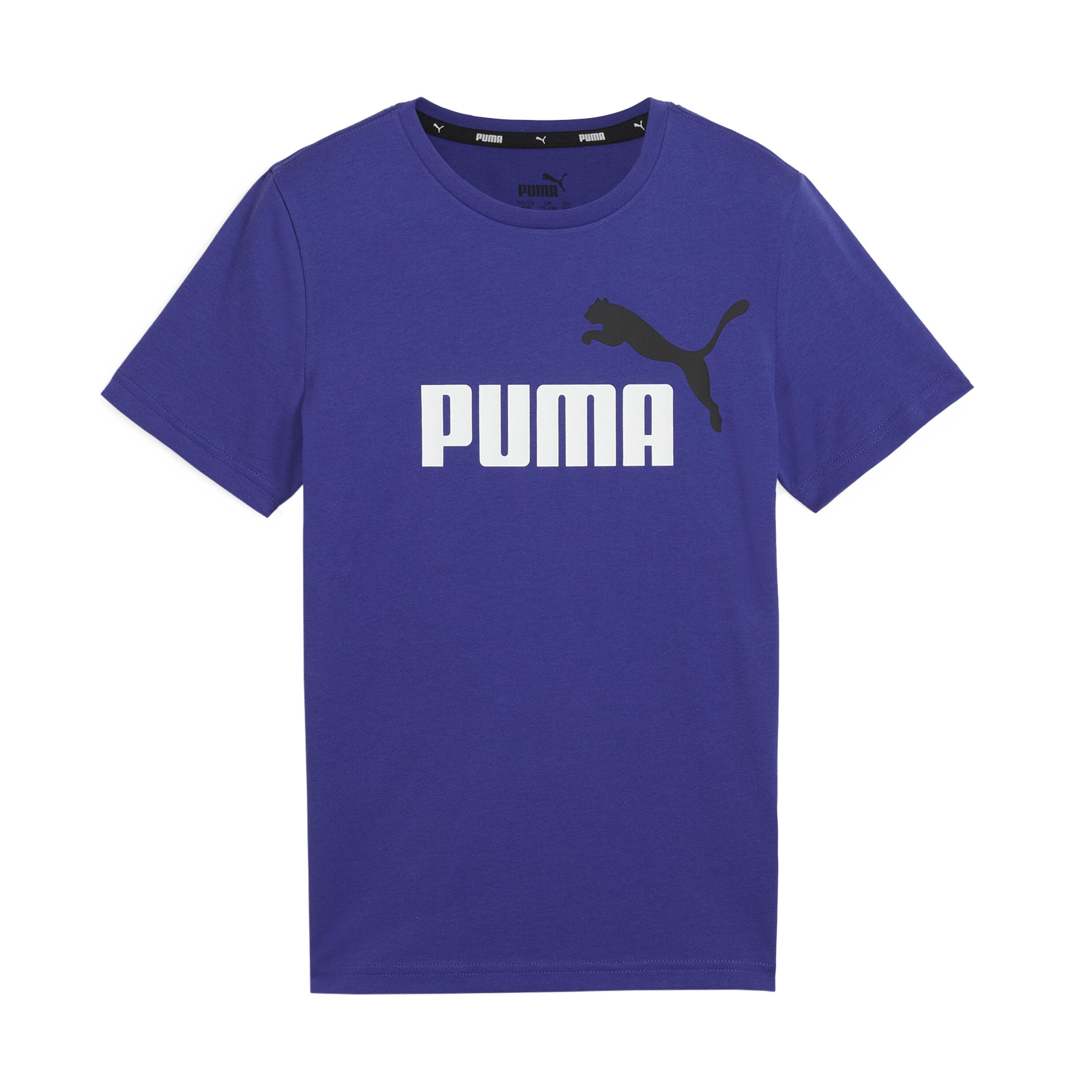 PUMA picture