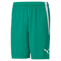 Short Puma Team Liga