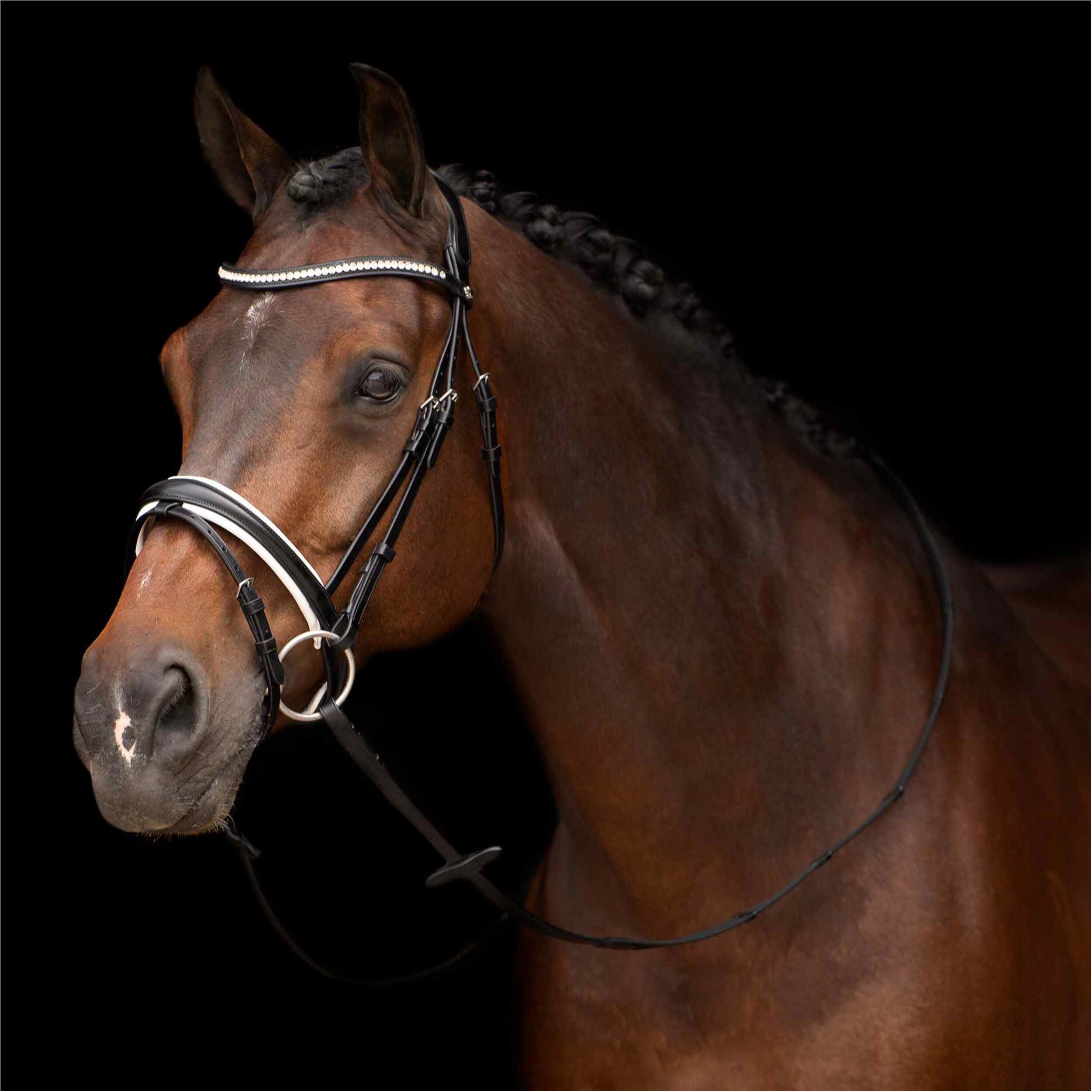 HV POLO picture