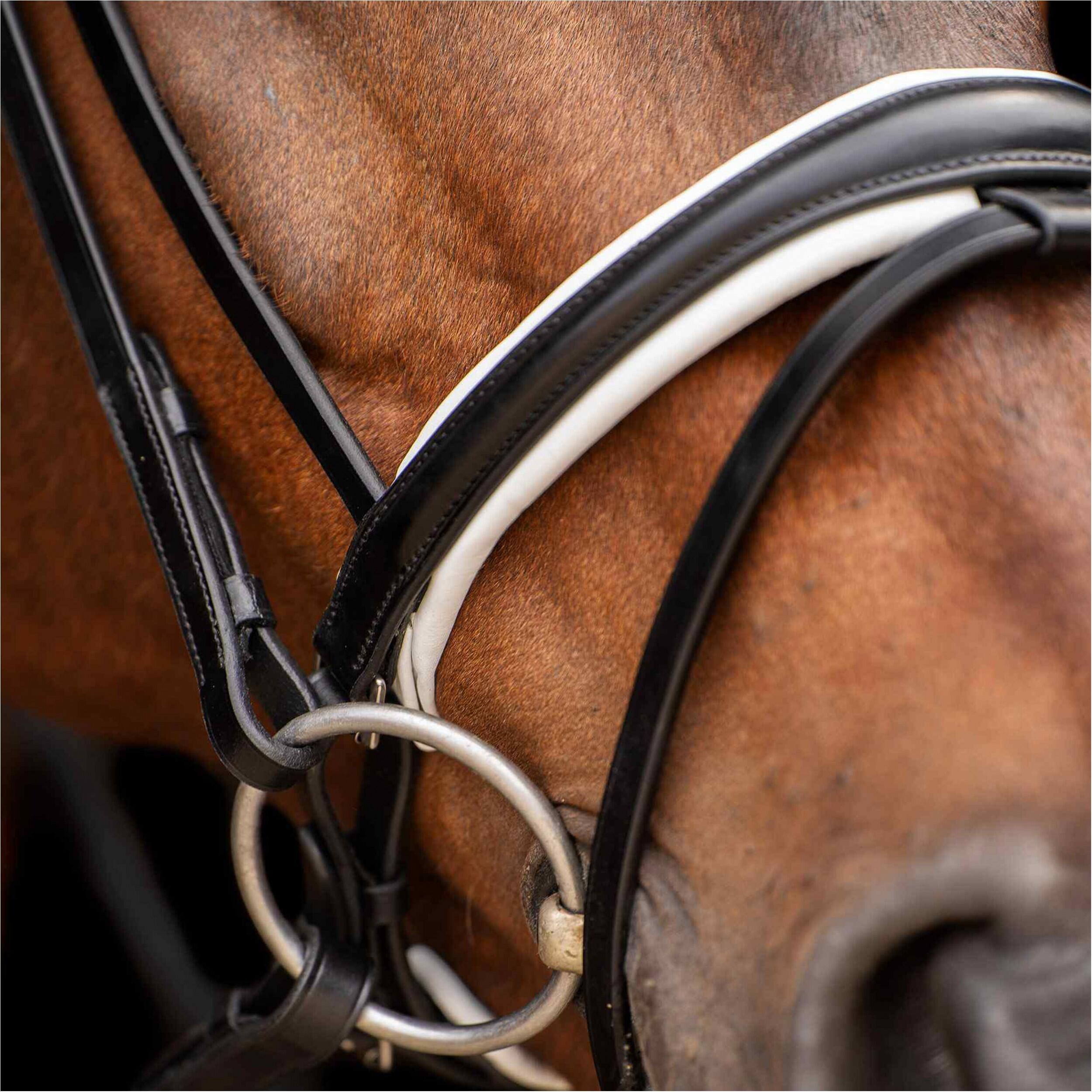 Bridas de montar HV Polo Legacy deluxe 3/3