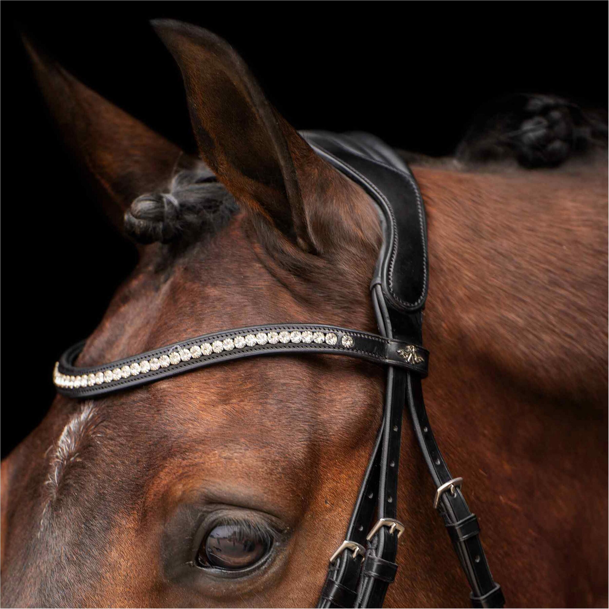 Bridons équitation HV Polo Legacy deluxe 2/3