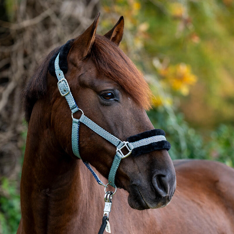 Halster voor paard met nepbont Kavalkade Gretchen 2/3