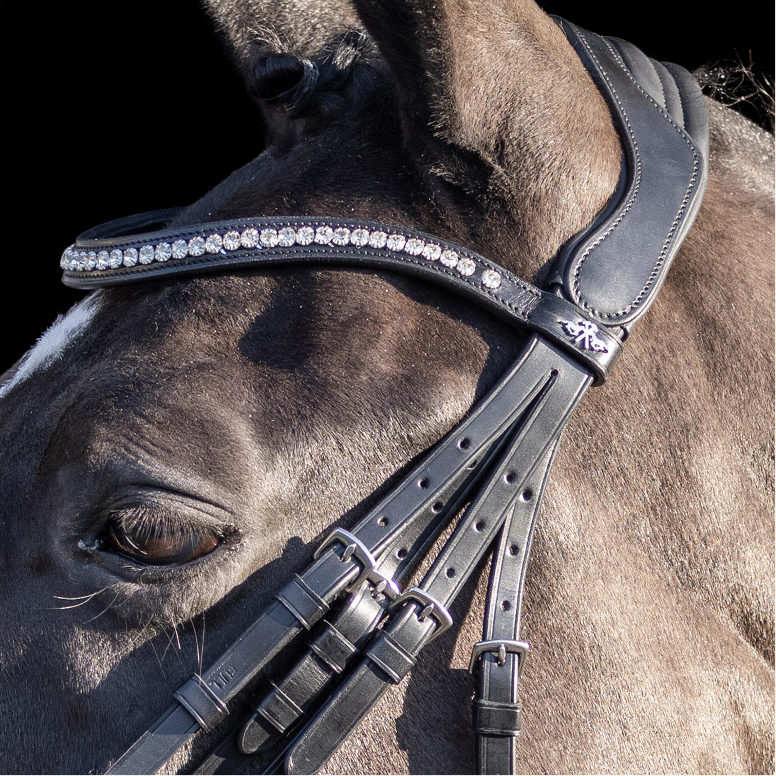 Bridons équitation HV Polo Legacy deluxe 3/3