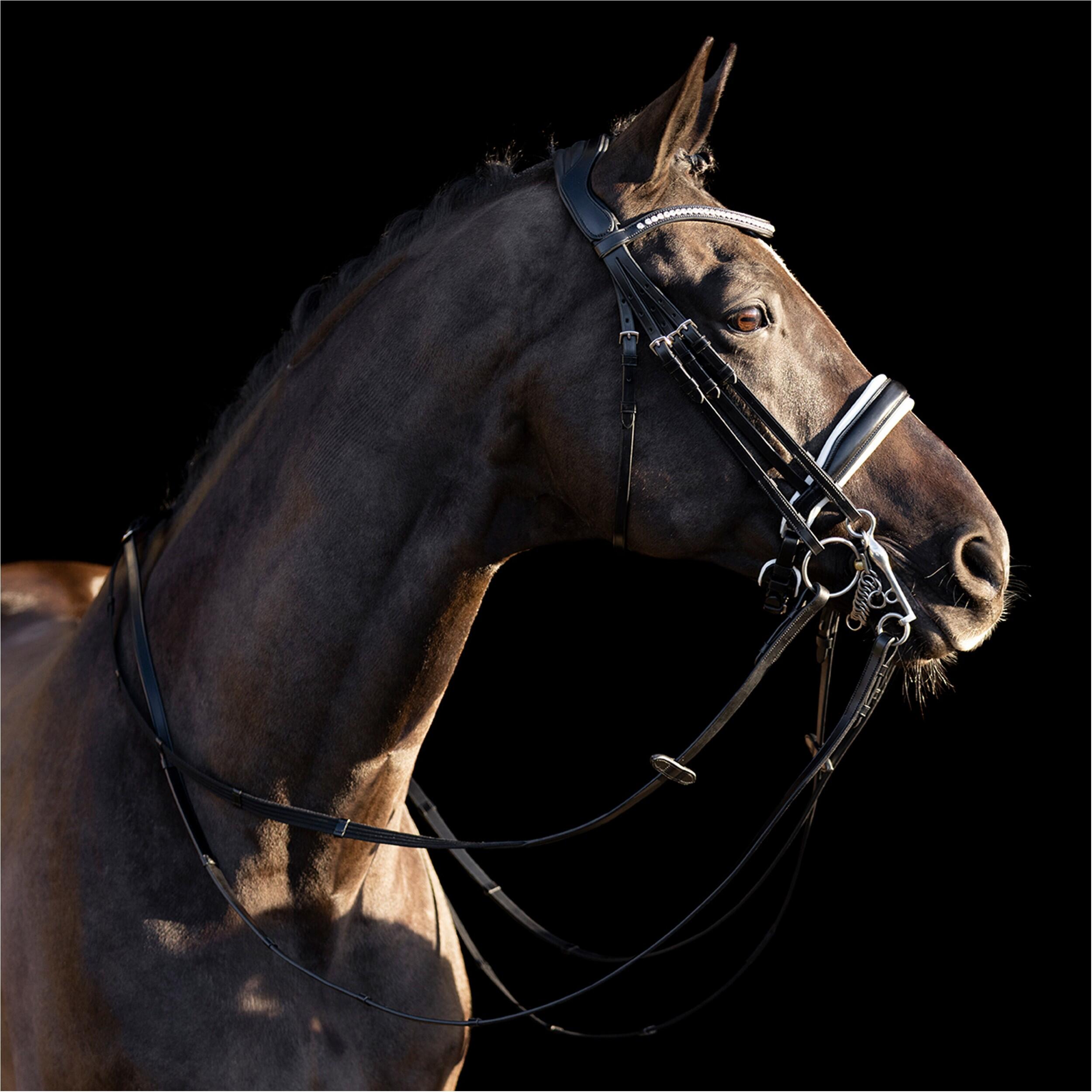 HV POLO Kandarenzaum HVPLegacy deluxe schwarz/weiß