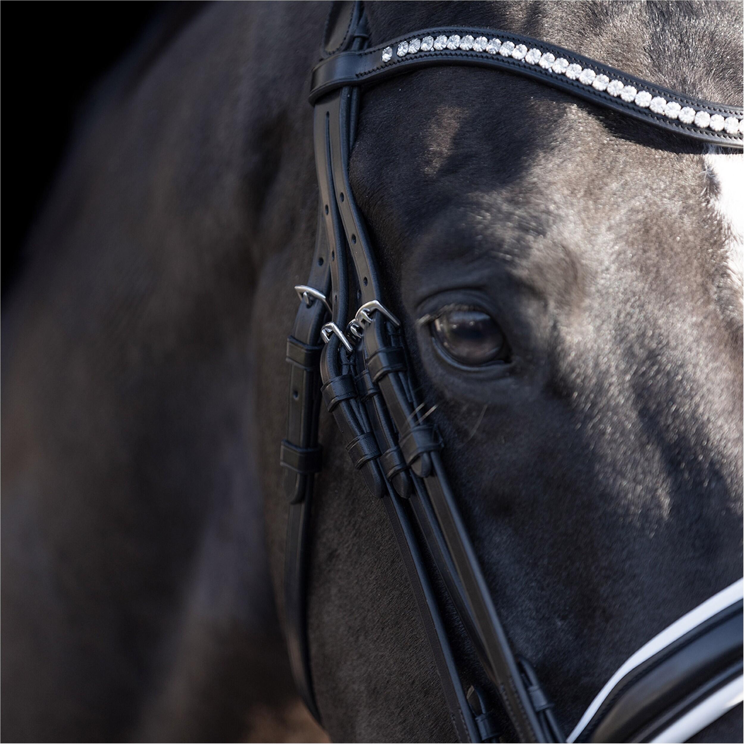 Bridons équitation HV Polo Legacy deluxe 2/3