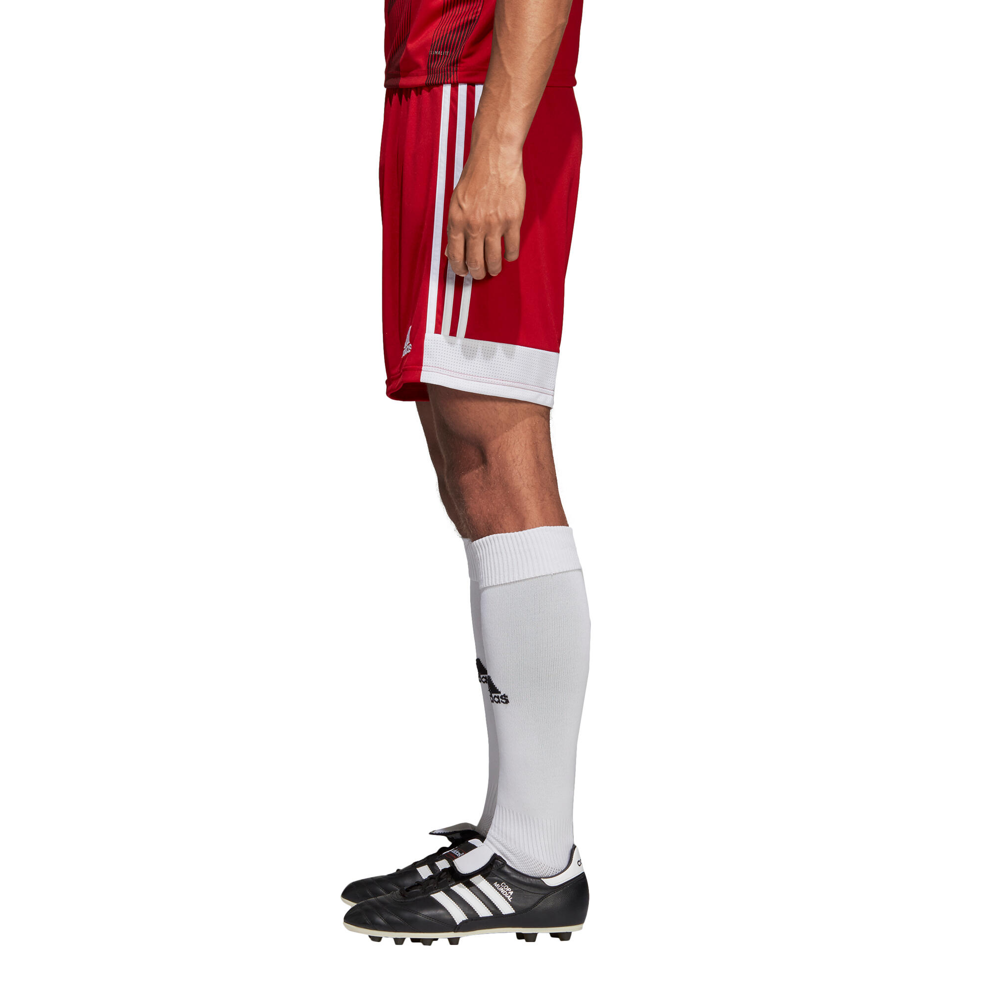 Kort Mannelijk Adidas Tastigo 19 Red 3/7