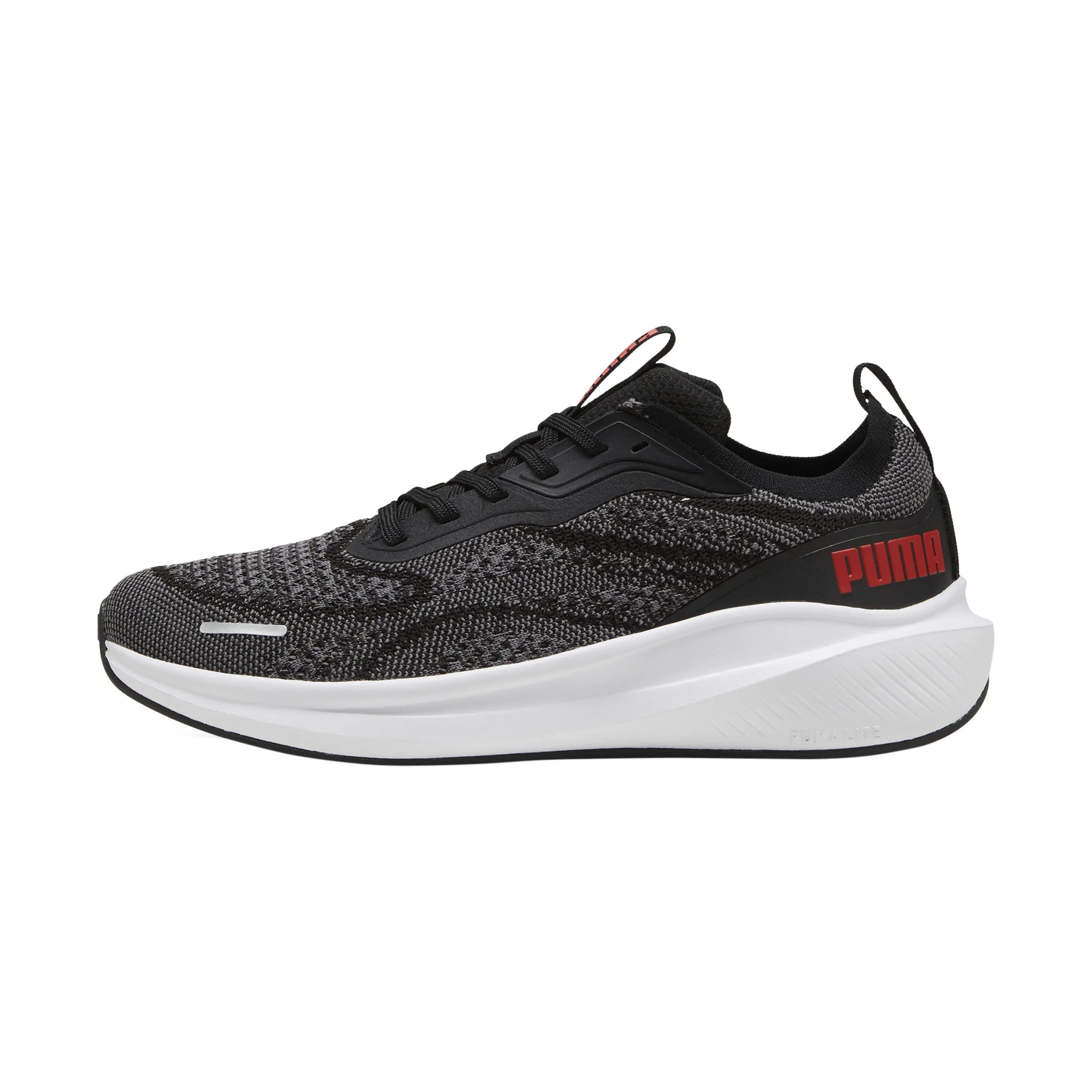 PUMA picture