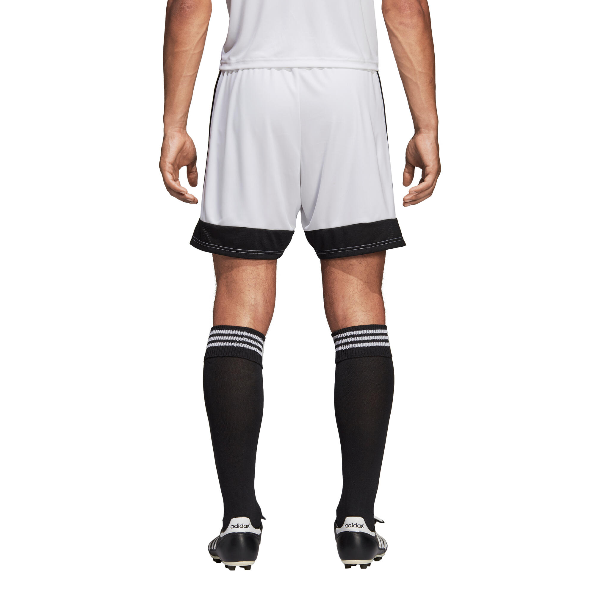 Short adidas Tastigo 19 4/7