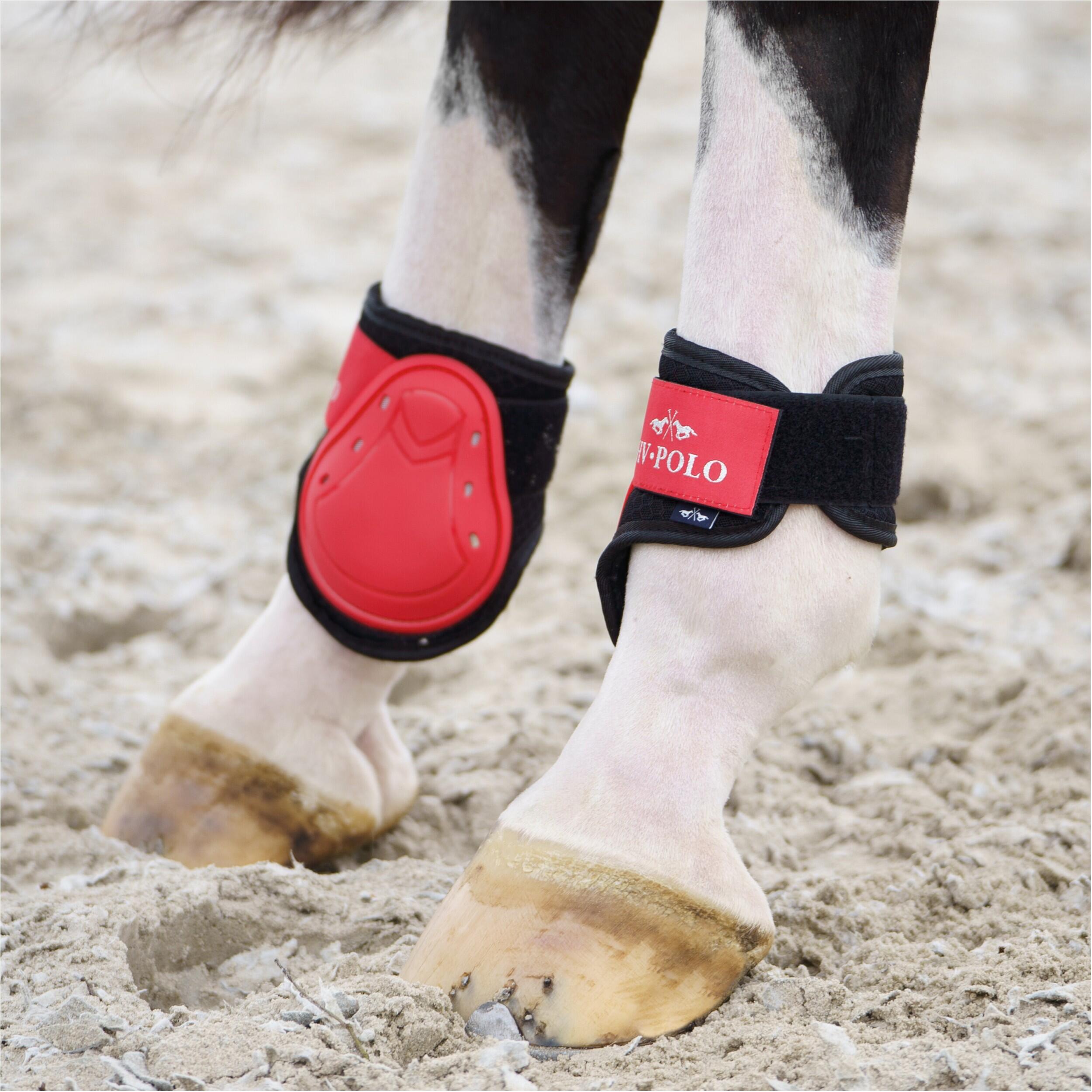 Vetlok en peesbeschermers voor paarden HV Polo Classic 3/3