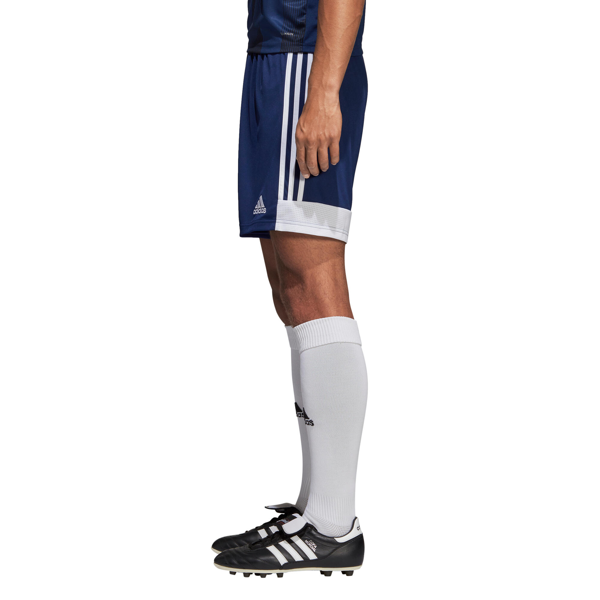 Pantaloncini adidas Tastigo 19 3/7