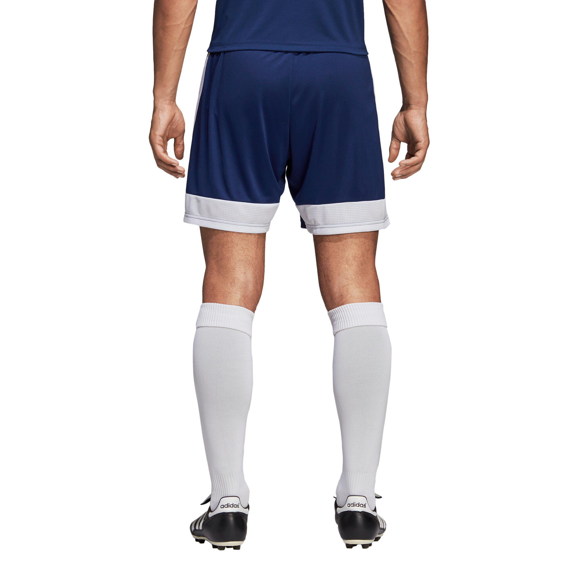 Pantaloncini adidas Tastigo 19 4/7