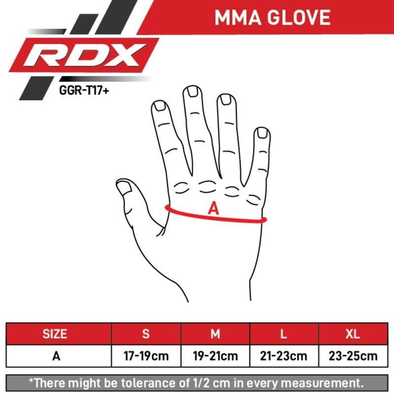 Gants de MMA Aura Plus T-17