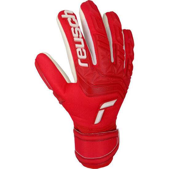 Guanti da portiere Reusch Attrakt Freegel Silver