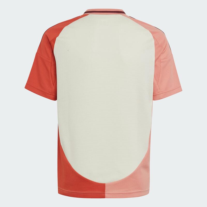 Camiseta tercera equipación Olympique de Lyon 24/25 (Adolescentes)