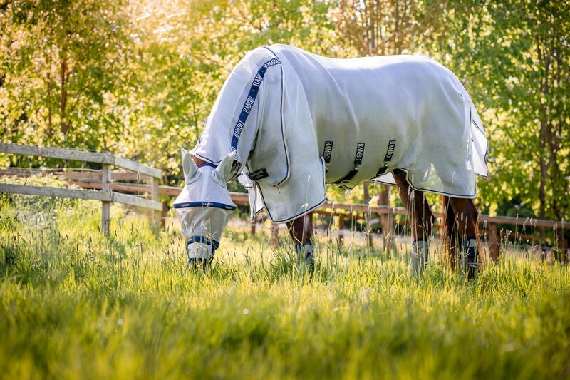 HORSEWARE IRELAND picture
