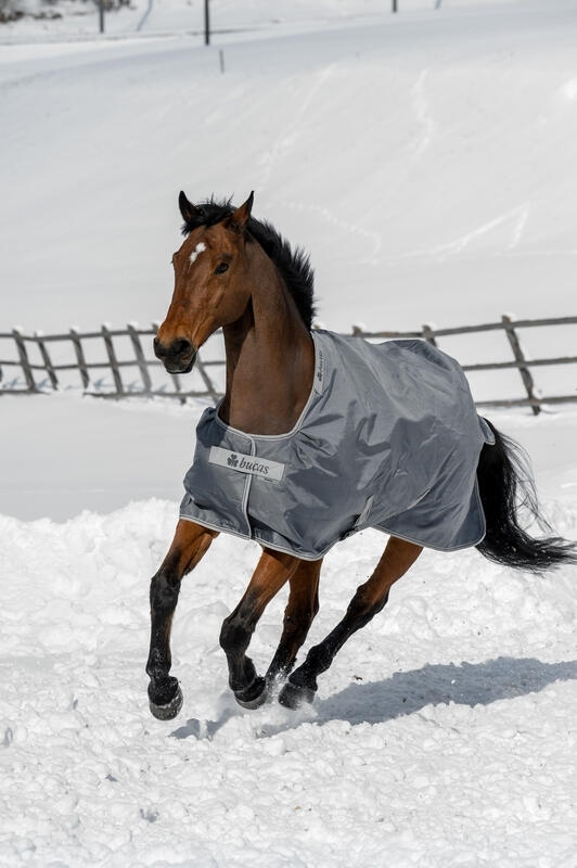 Coperta da paddock per cavalli Bucas Smartex Extra 300g 3/3