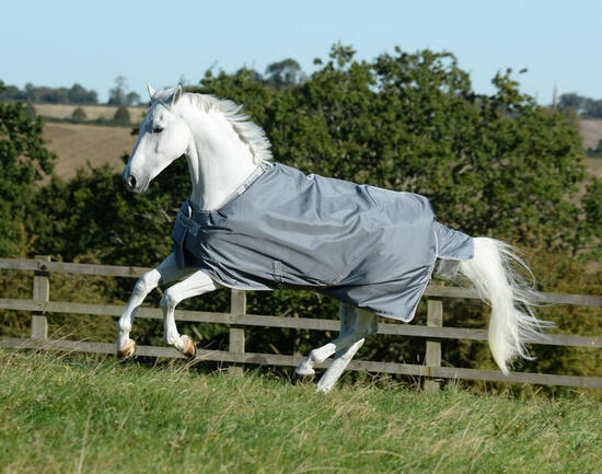 Couverture Pour Chevaux - Equitation - Mixte - - -