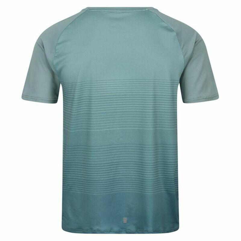 Camiseta de Manga Corta Hombre Regatta Pinmor Aguamarina