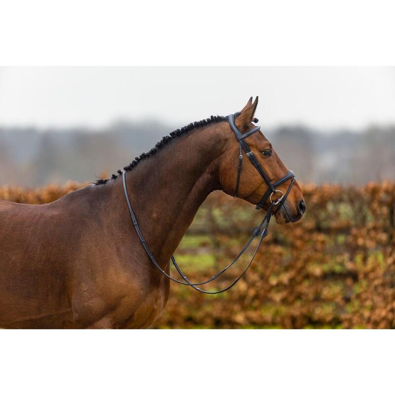 Amsterdam Combined Noseband Bridle Anatomic