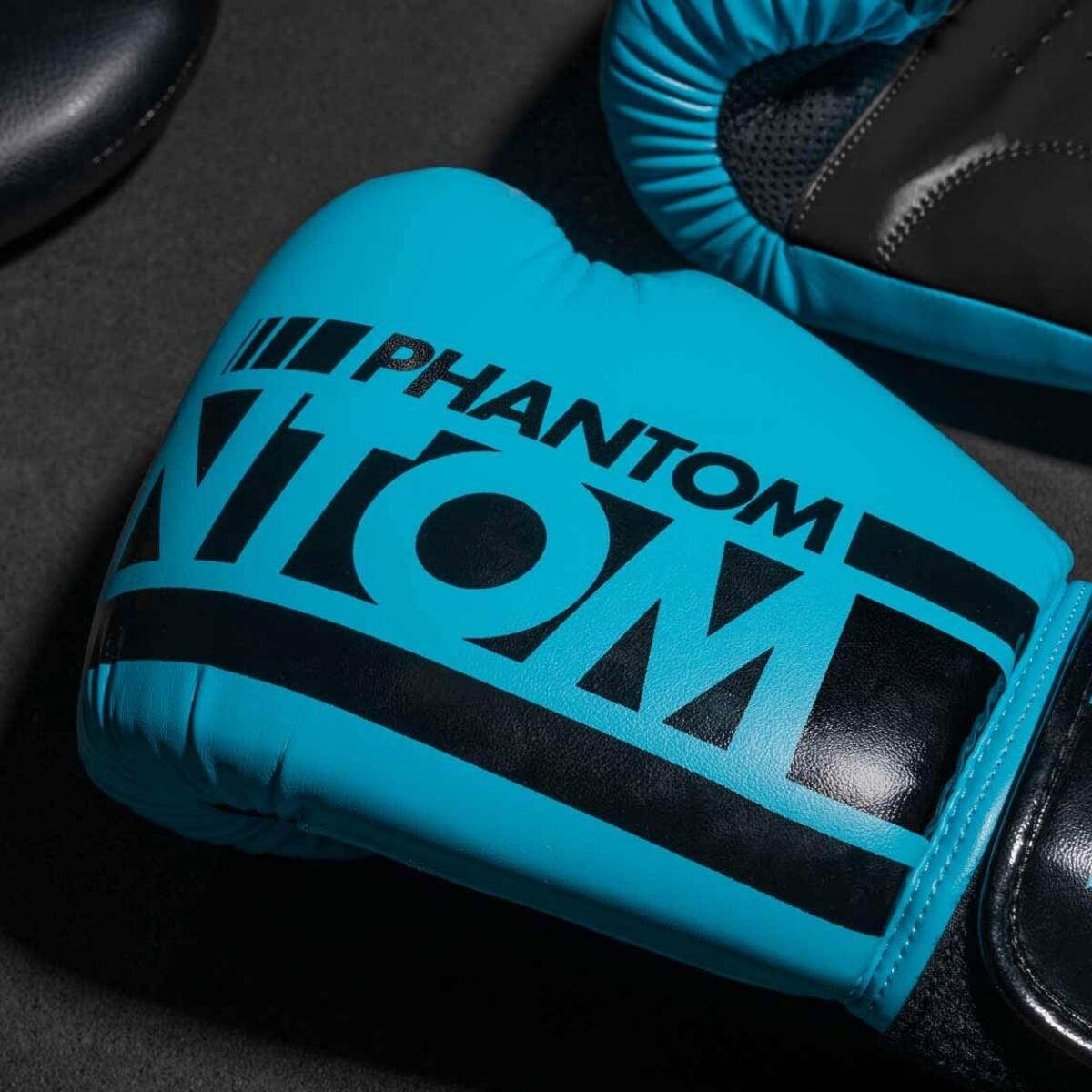Gants de boxe APEX 4/4