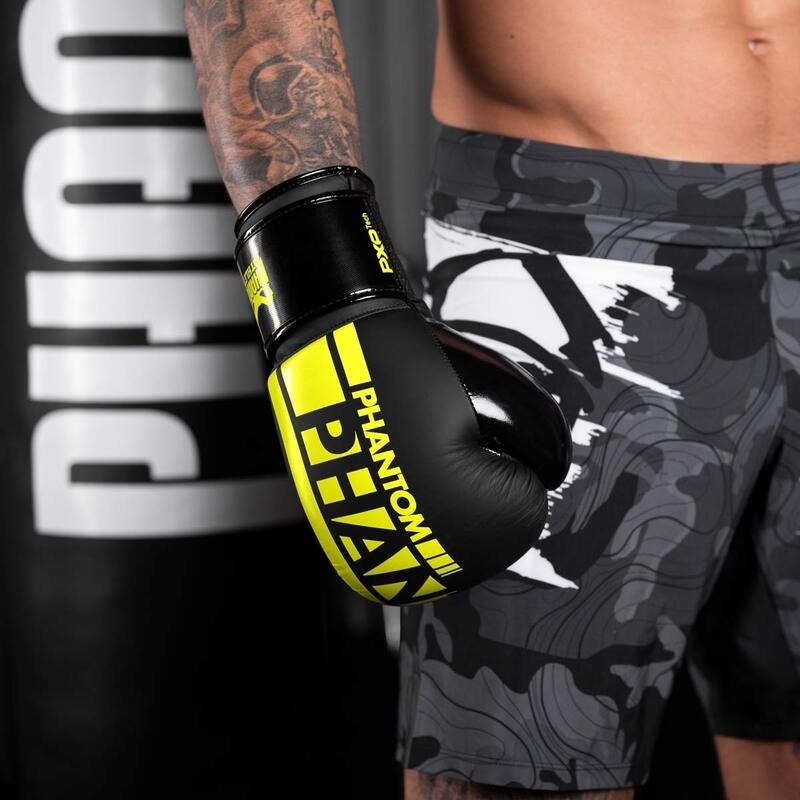 Gants de boxe APEX