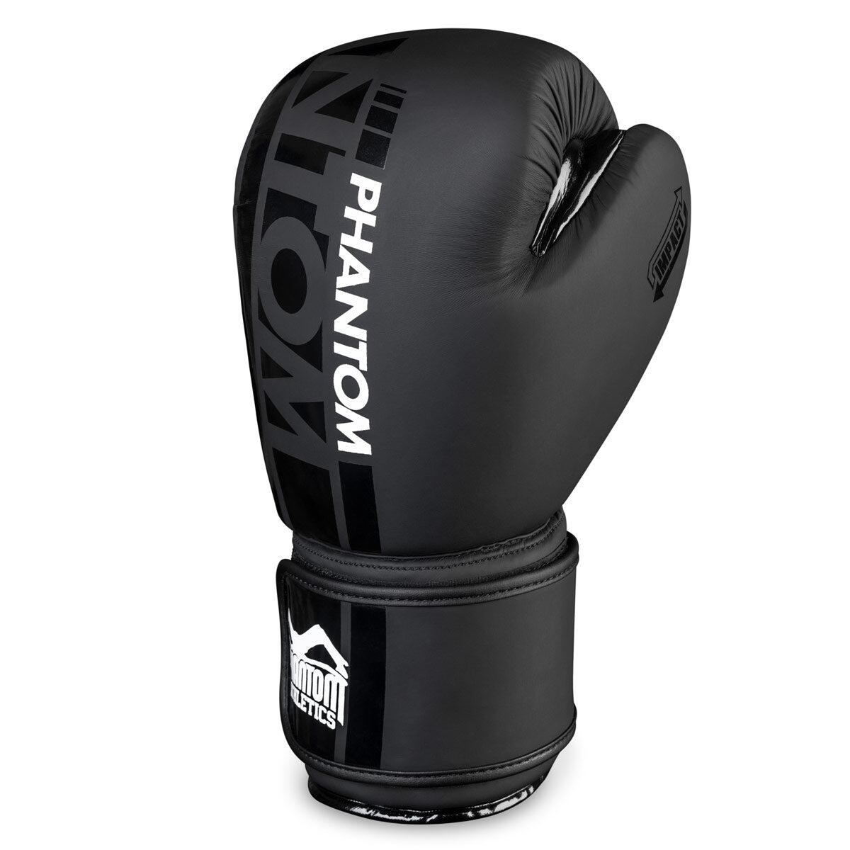 Boxing gloves APEX 12/12