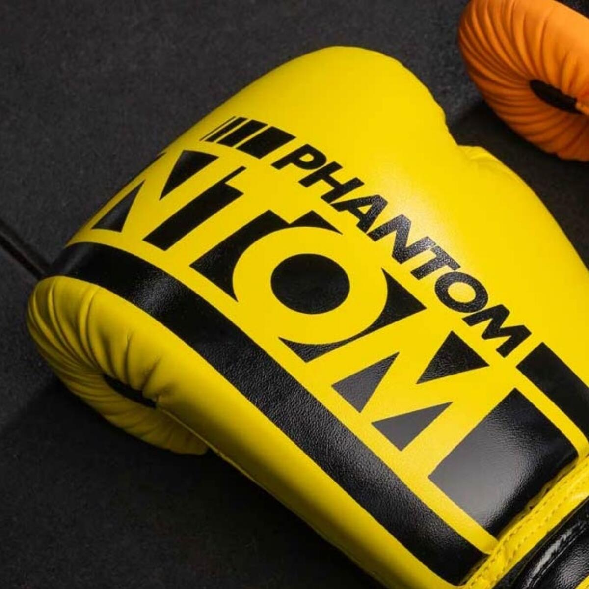 Gants de boxe APEX 4/4