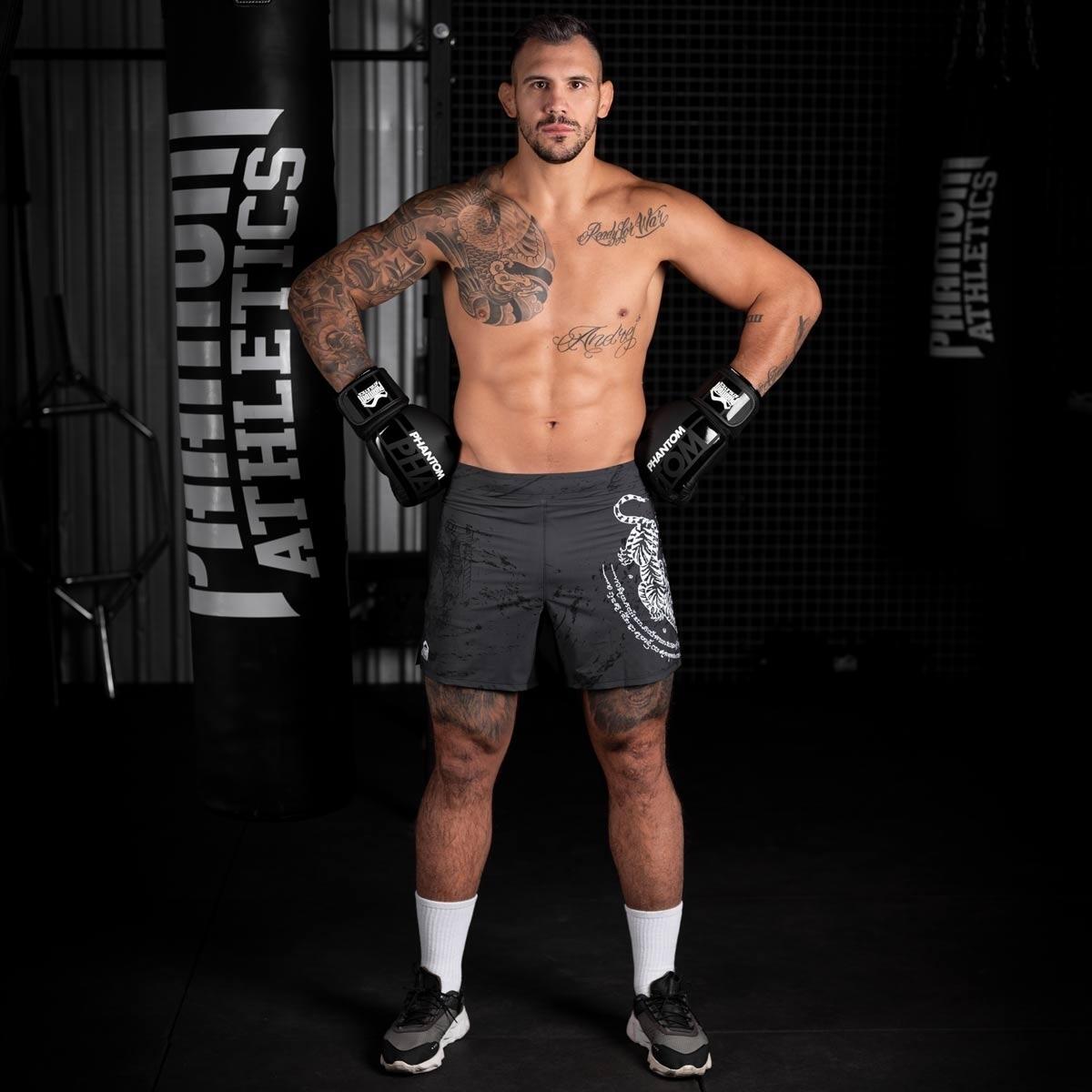 Boxing gloves APEX 10/12
