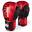 Gants de boxe APEX