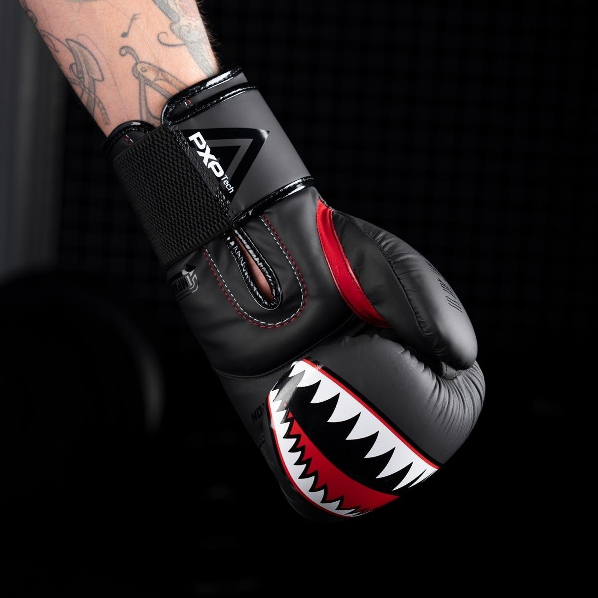 Fight Squad boxing gloves