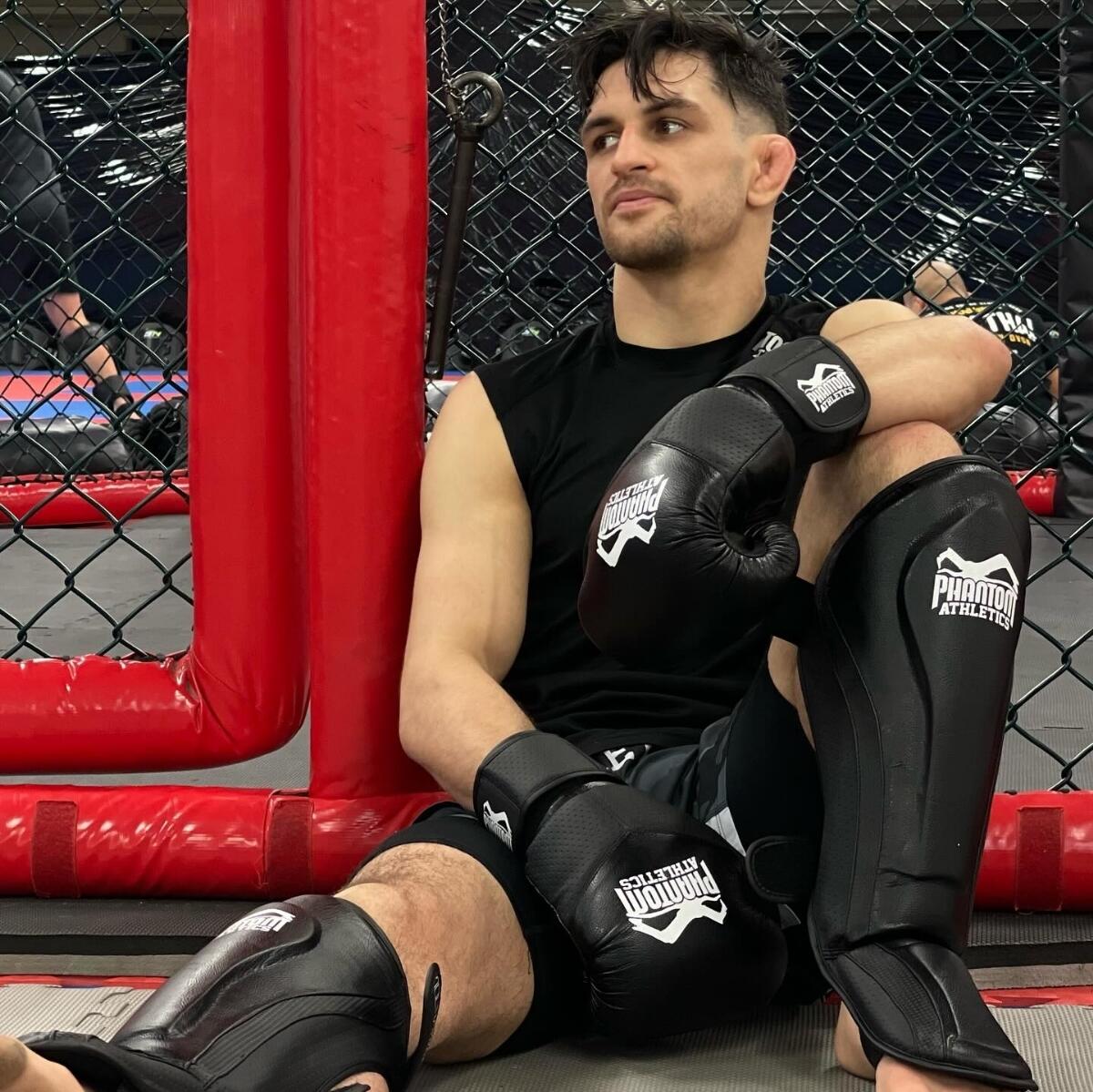 Gants de boxe RIOT Pro 2/5